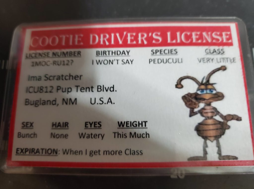 Cootie Driver's License